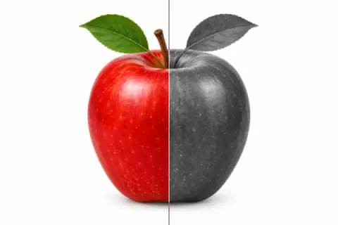 A red apple split down the middle: the left half in full colour, the right half in greyscale